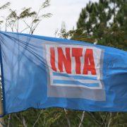 inta
